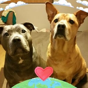 Meet your Posher, Lopez